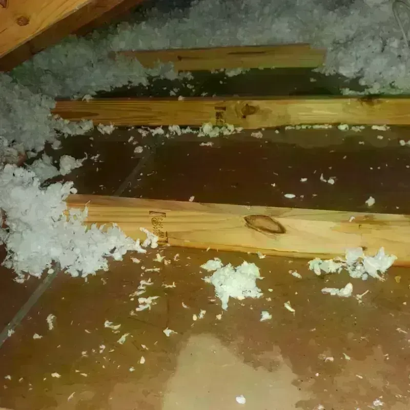 Attic Water Damage in Rumney, NH