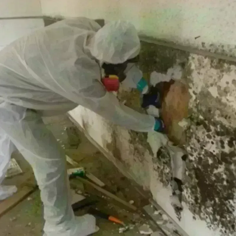 Mold Remediation and Removal in Rumney, NH